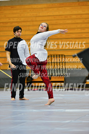 2019-WGI-Skyview-McMinnvilleHS-137