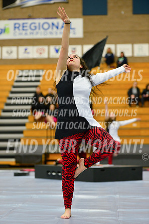 2019-WGI-Skyview-McMinnvilleHS-141