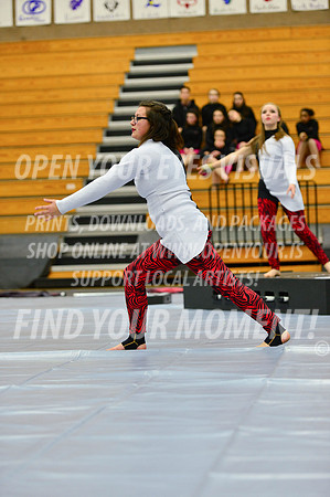 2019-WGI-Skyview-McMinnvilleHS-144