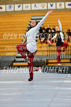 2019-WGI-Skyview-McMinnvilleHS-145