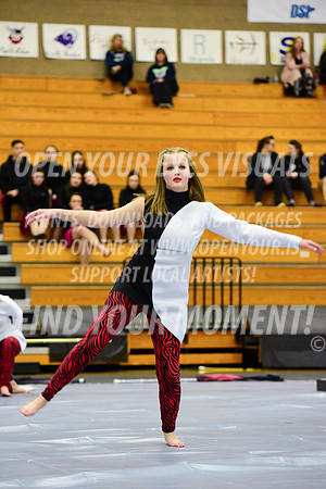 2019-WGI-Skyview-McMinnvilleHS-150