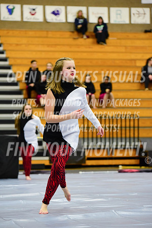 2019-WGI-Skyview-McMinnvilleHS-151
