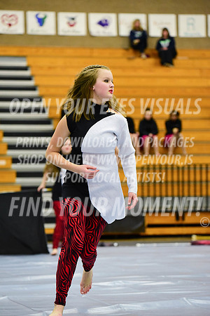2019-WGI-Skyview-McMinnvilleHS-152