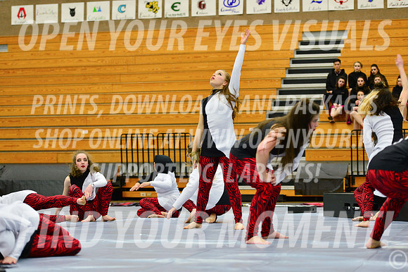 2019-WGI-Skyview-McMinnvilleHS-162