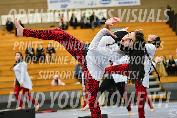 2019-WGI-Skyview-McMinnvilleHS-167