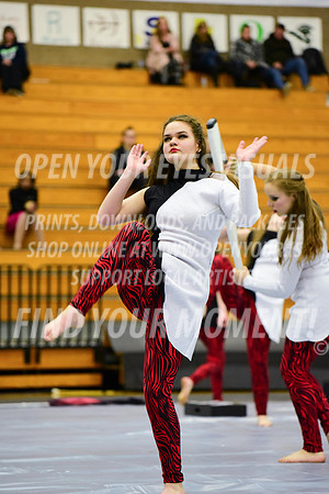 2019-WGI-Skyview-McMinnvilleHS-169
