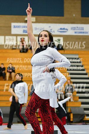 2019-WGI-Skyview-McMinnvilleHS-171
