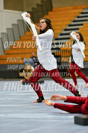 2019-WGI-Skyview-McMinnvilleHS-179