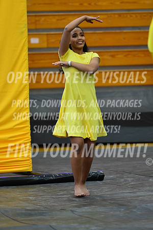 2019-WGI-Skyview-NorthSalemHS-013