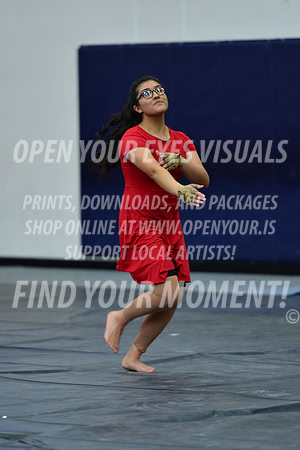 2019-WGI-Skyview-NorthSalemHS-016