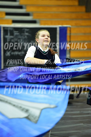 2019-WGI-Skyview-MountainViewHS-136