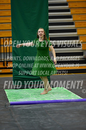 2019-WGI-Skyview-NorthSalemHS-071
