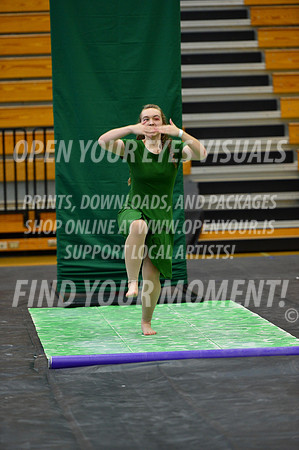 2019-WGI-Skyview-NorthSalemHS-073