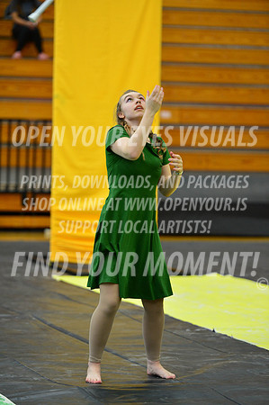 2019-WGI-Skyview-NorthSalemHS-086