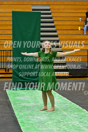 2019-WGI-Skyview-NorthSalemHS-093