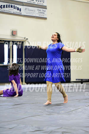 2019-WGI-Skyview-NorthSalemHS-109