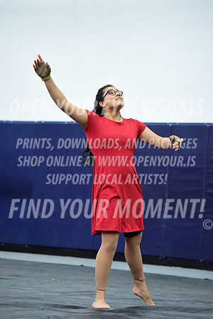 2019-WGI-Skyview-NorthSalemHS-118