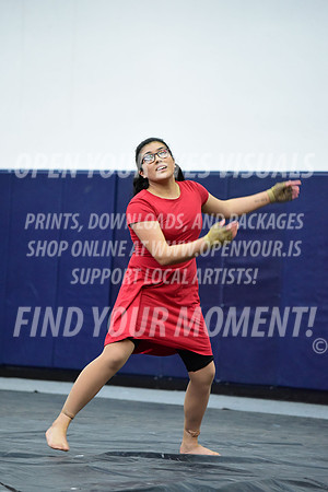 2019-WGI-Skyview-NorthSalemHS-119