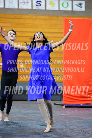 2019-WGI-Skyview-NorthSalemHS-128