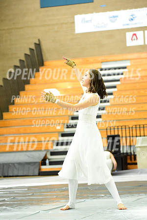2019-WGI-Skyview-NorthThurstonHS-110