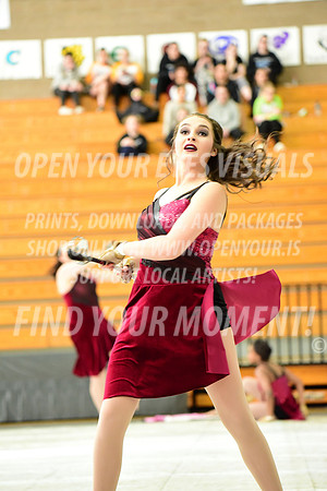 2019-WGI-Skyview-Pacificaires-021