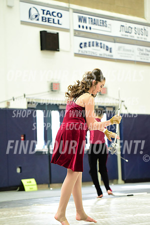 2019-WGI-Skyview-Pacificaires-032
