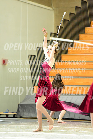 2019-WGI-Skyview-Pacificaires-038
