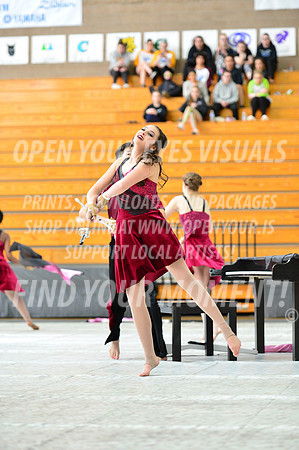 2019-WGI-Skyview-Pacificaires-051