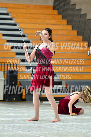 2019-WGI-Skyview-Pacificaires-069