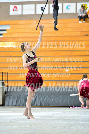 2019-WGI-Skyview-Pacificaires-071