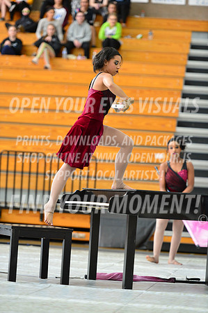 2019-WGI-Skyview-Pacificaires-074