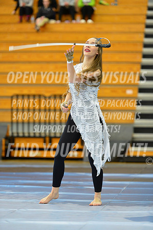 2019-WGI-Skyview-UniversityOfOregon-132