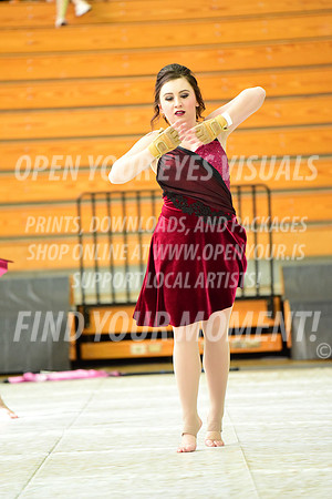 2019-WGI-Skyview-Pacificaires-112