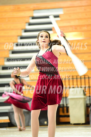 2019-WGI-Skyview-Pacificaires-119