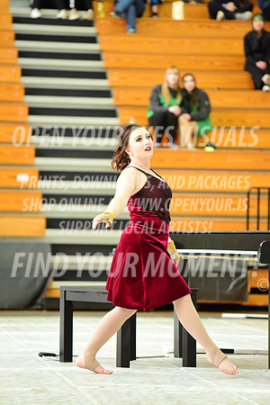 2019-WGI-Skyview-Pacificaires-122