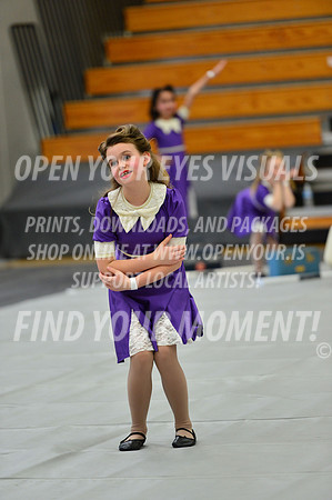 2019-WGI-Skyview-PacificairesJr-029