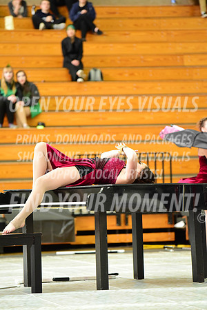 2019-WGI-Skyview-Pacificaires-131
