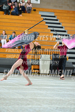 2019-WGI-Skyview-Pacificaires-132