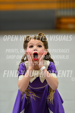 2019-WGI-Skyview-PacificairesJr-032