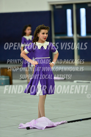 2019-WGI-Skyview-PacificairesJr-081
