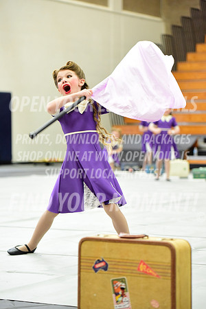 2019-WGI-Skyview-PacificairesJr-196