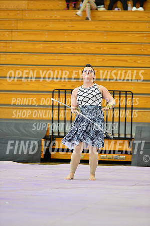 2019-WGI-Skyview-Rhapsody-024