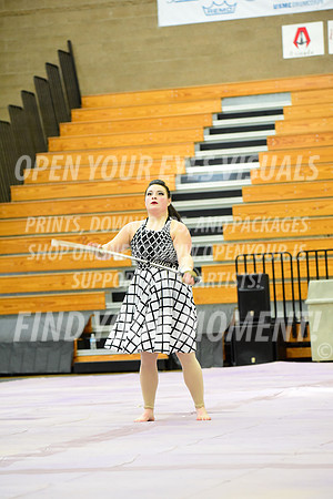 2019-WGI-Skyview-Rhapsody-023