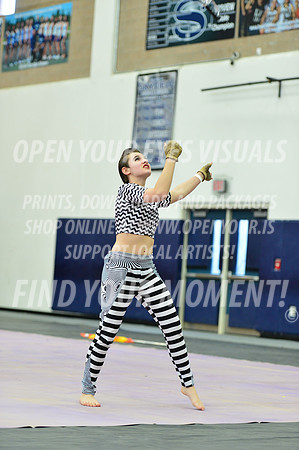 2019-WGI-Skyview-Rhapsody-069