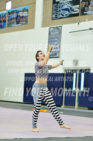 2019-WGI-Skyview-Rhapsody-068