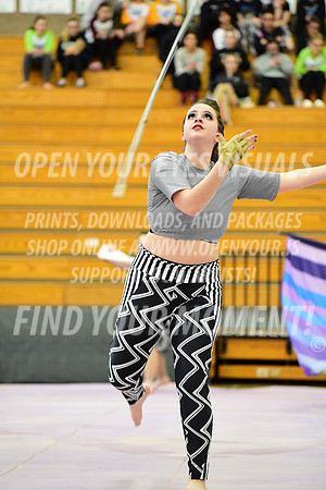 2019-WGI-Skyview-Rhapsody-071