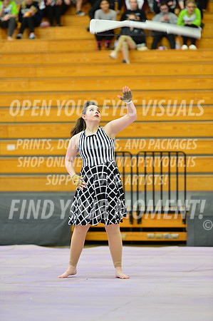 2019-WGI-Skyview-Rhapsody-073