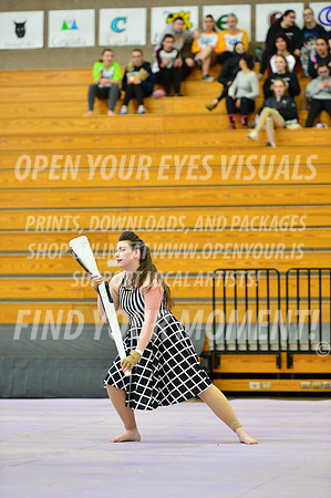 2019-WGI-Skyview-Rhapsody-075