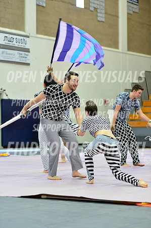 2019-WGI-Skyview-Rhapsody-079