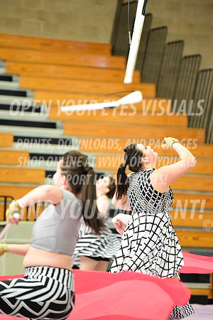 2019-WGI-Skyview-Rhapsody-119